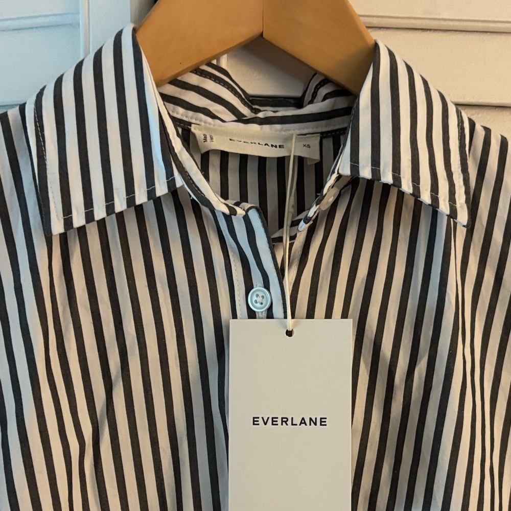 Everlane Supima Cotton Midi Collared Shirt Dress - Picture 3 of 4